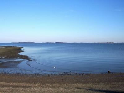 Squantum2_jpg