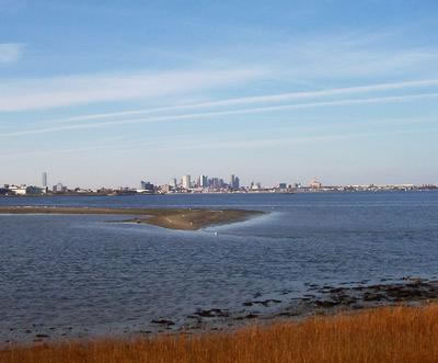 Squantum_jpg