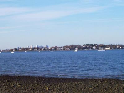 WollyBeach3_jpg