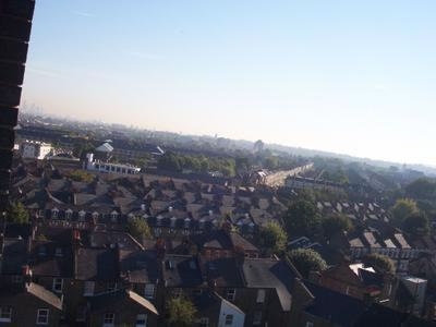 CockeyeView_jpg