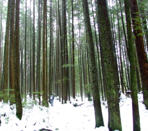 vancouver-44