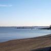 Squantum3_jpg