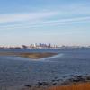 Squantum_jpg