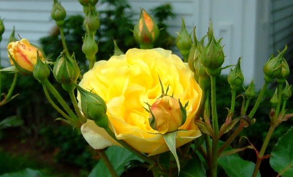 DSCF5831
