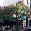7thavenue_jpg