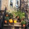 bklynhalloween2_jpg