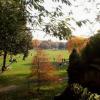 prospectpark_jpg