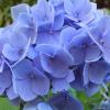 DSCF0475