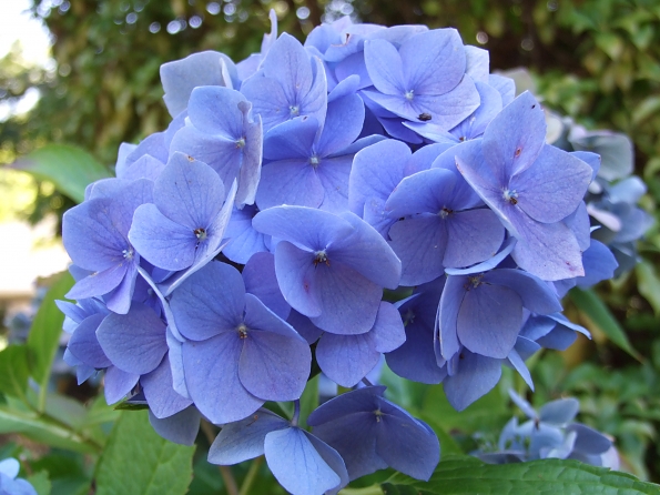 DSCF0475