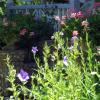DSCF0609