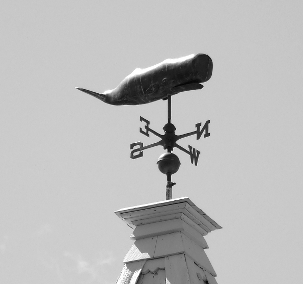 DSCF0621