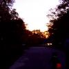 DSCF3341
