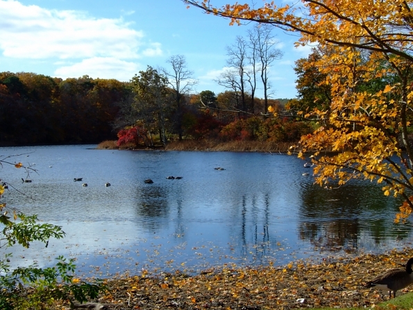 DSCF3369