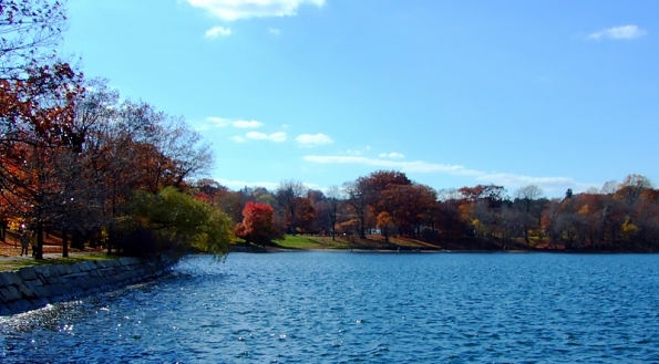 DSCF3590