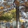 TombsandTrees4_jpg_jpg