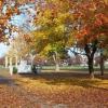 VillageGreen_jpg_jpg
