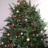 xmas 2004