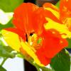 DSCF0041