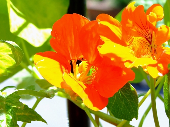 DSCF0041