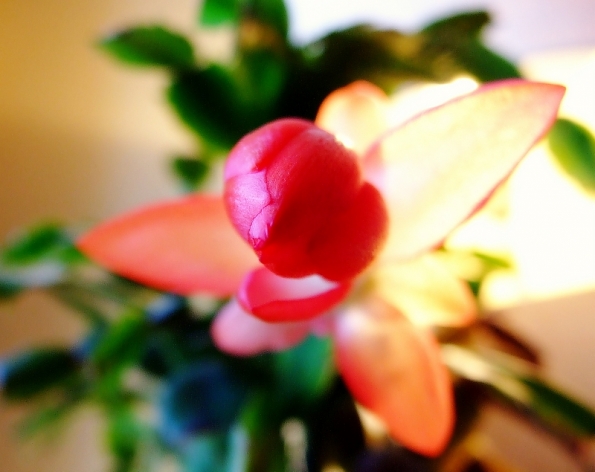 DSCF1380