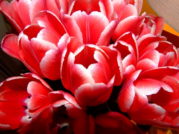 DSCF1719