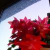 DSCF3747