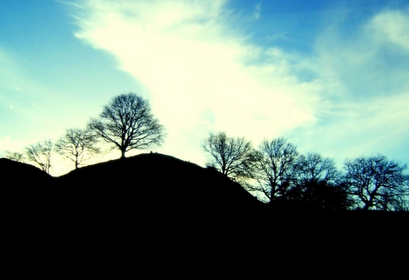 rotorua_waitomo03