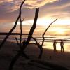 tamarindo02