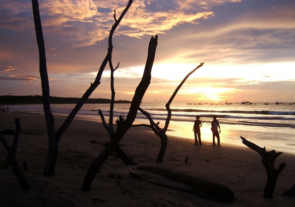 tamarindo02