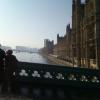 Photo-0016