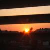 DSCF0124