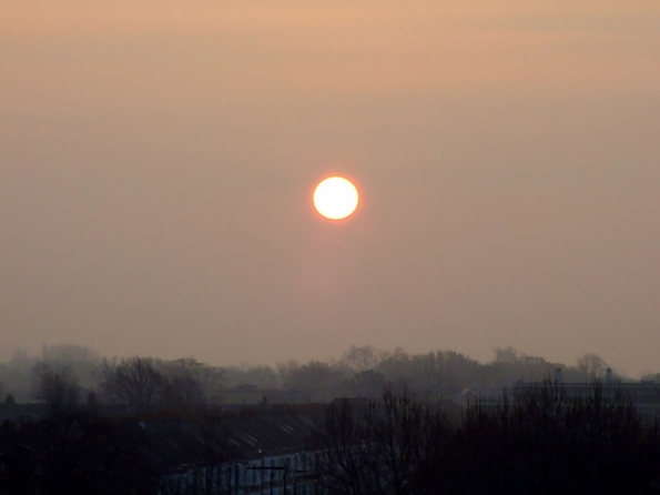DSCF1527