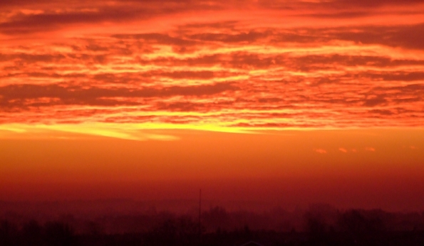 DSCF1529