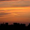 DSCF2384