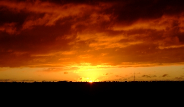 DSCF3233