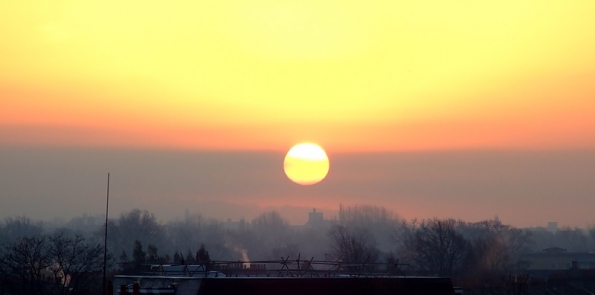 DSCF3688