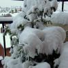 DSCF4725