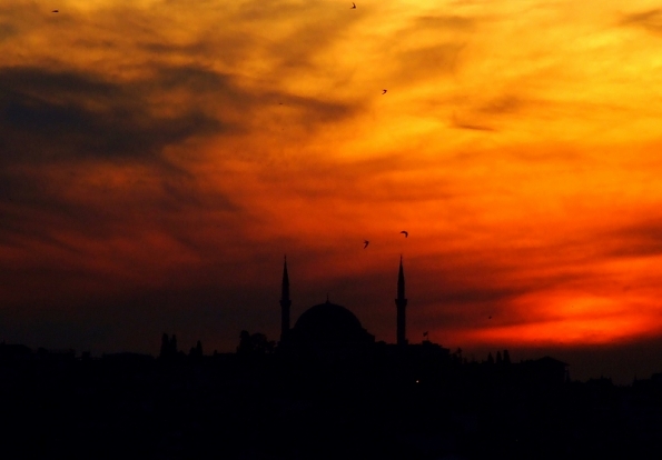 DSCF2697