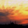 DSCF2705