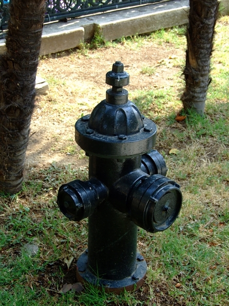 DSCF2923