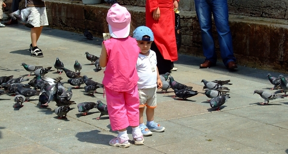 DSCF2972