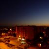 DSCF4391