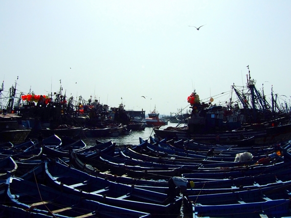 DSCF4419