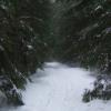 vancouver-31