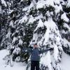 vancouver-84