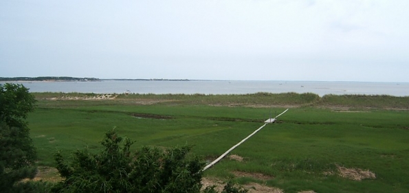 DSCF0949