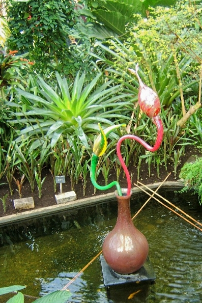 DSCF1593