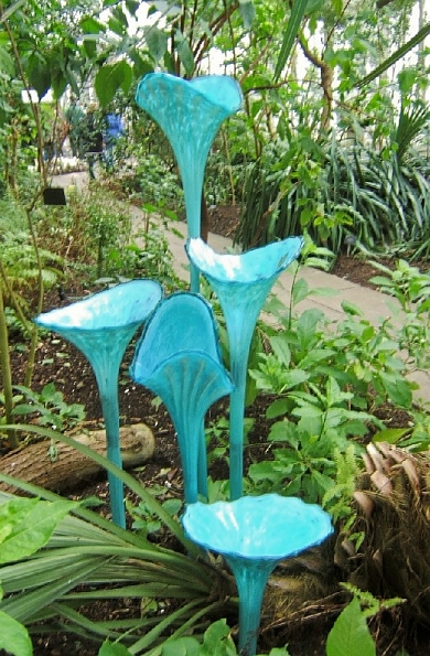 DSCF1676