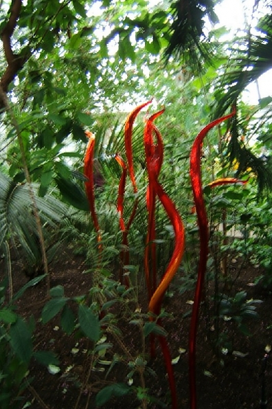 DSCF1679
