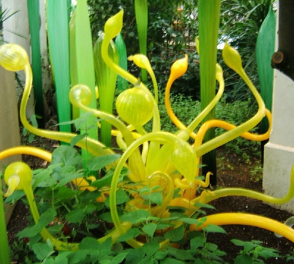 DSCF1685